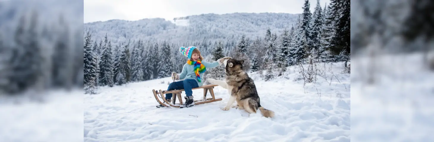 Image of a child on a sleigh petting a husky in a snow-covered landscape